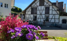 Café Canapé Ferienwohnung